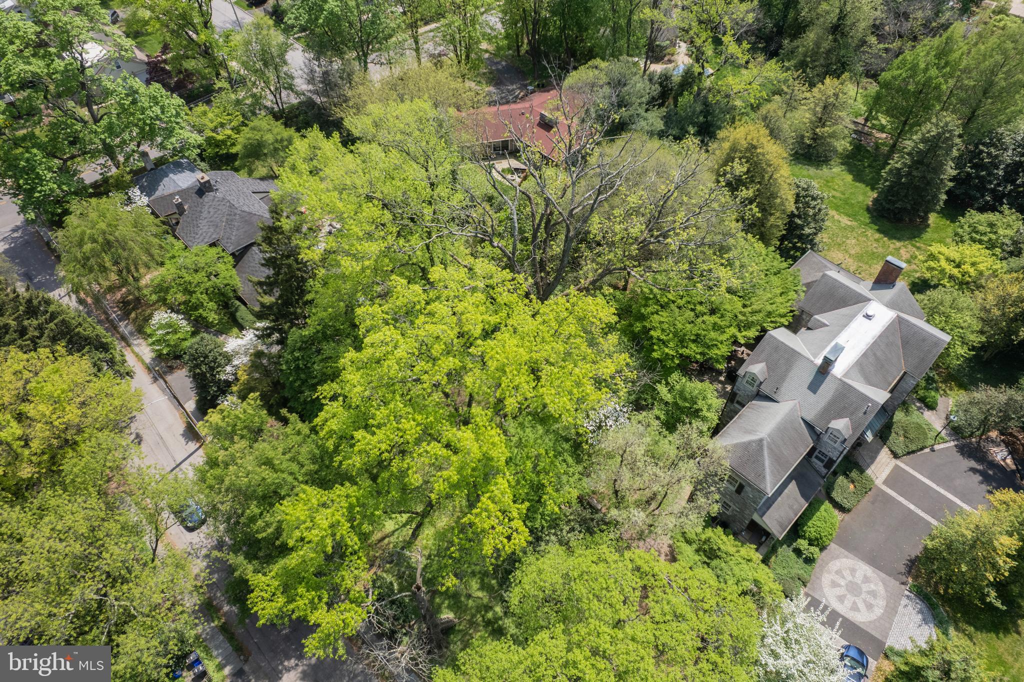CHESTNUT HILL - Land