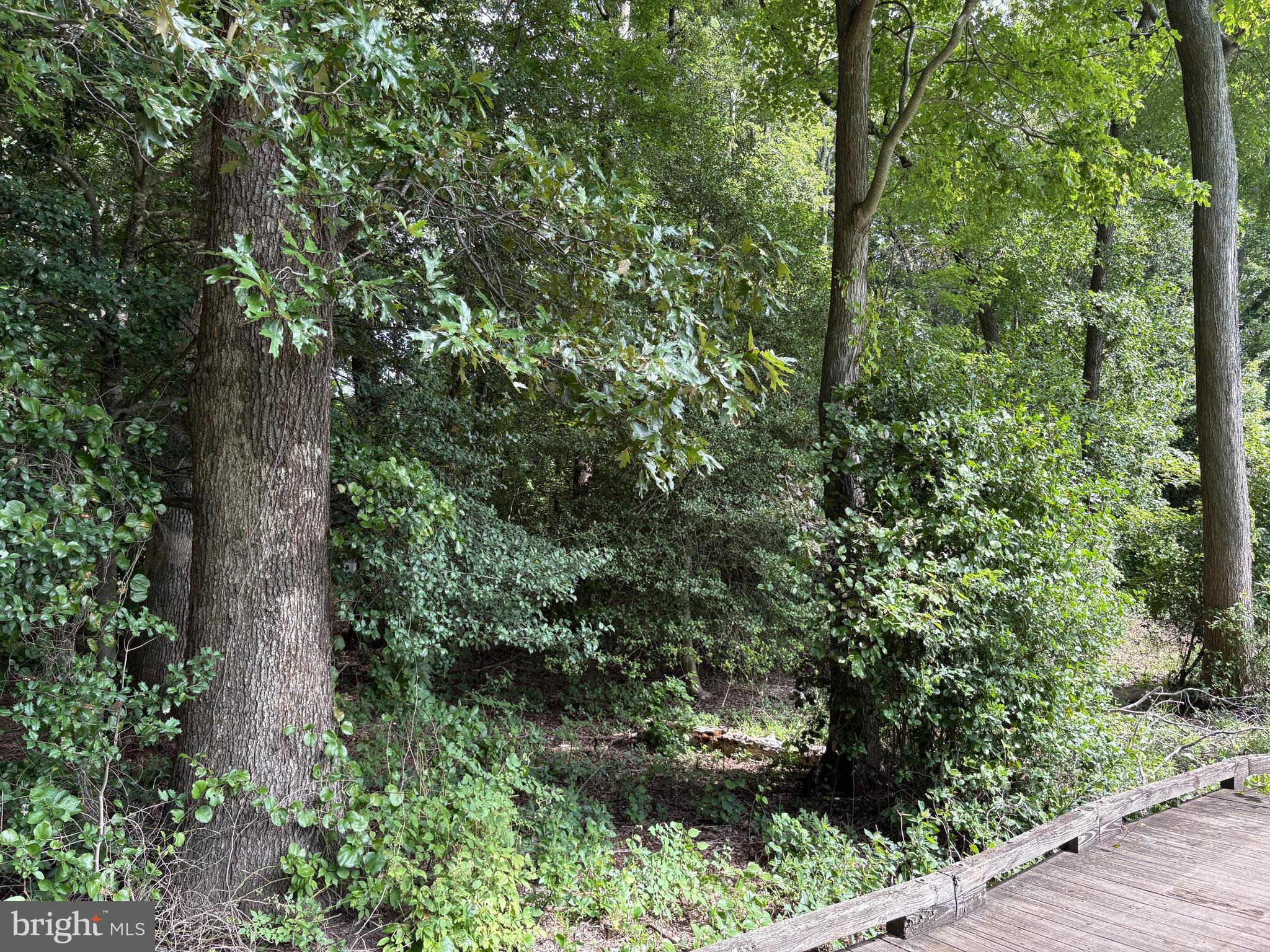 0 SHADY DELL PARK
