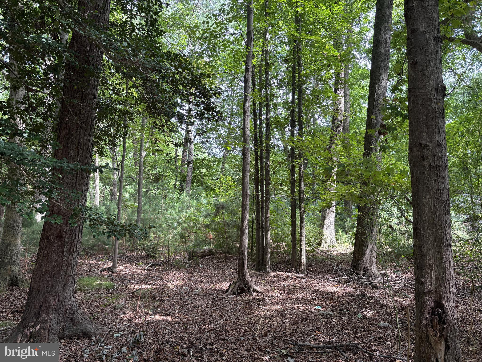 0 SHADY DELL PARK