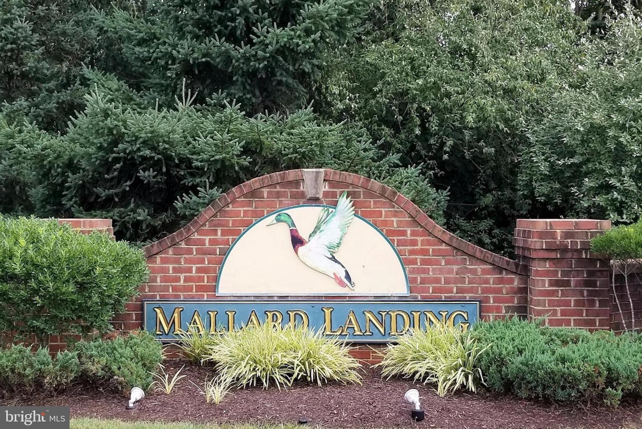 MALLARD LANDING - Residential