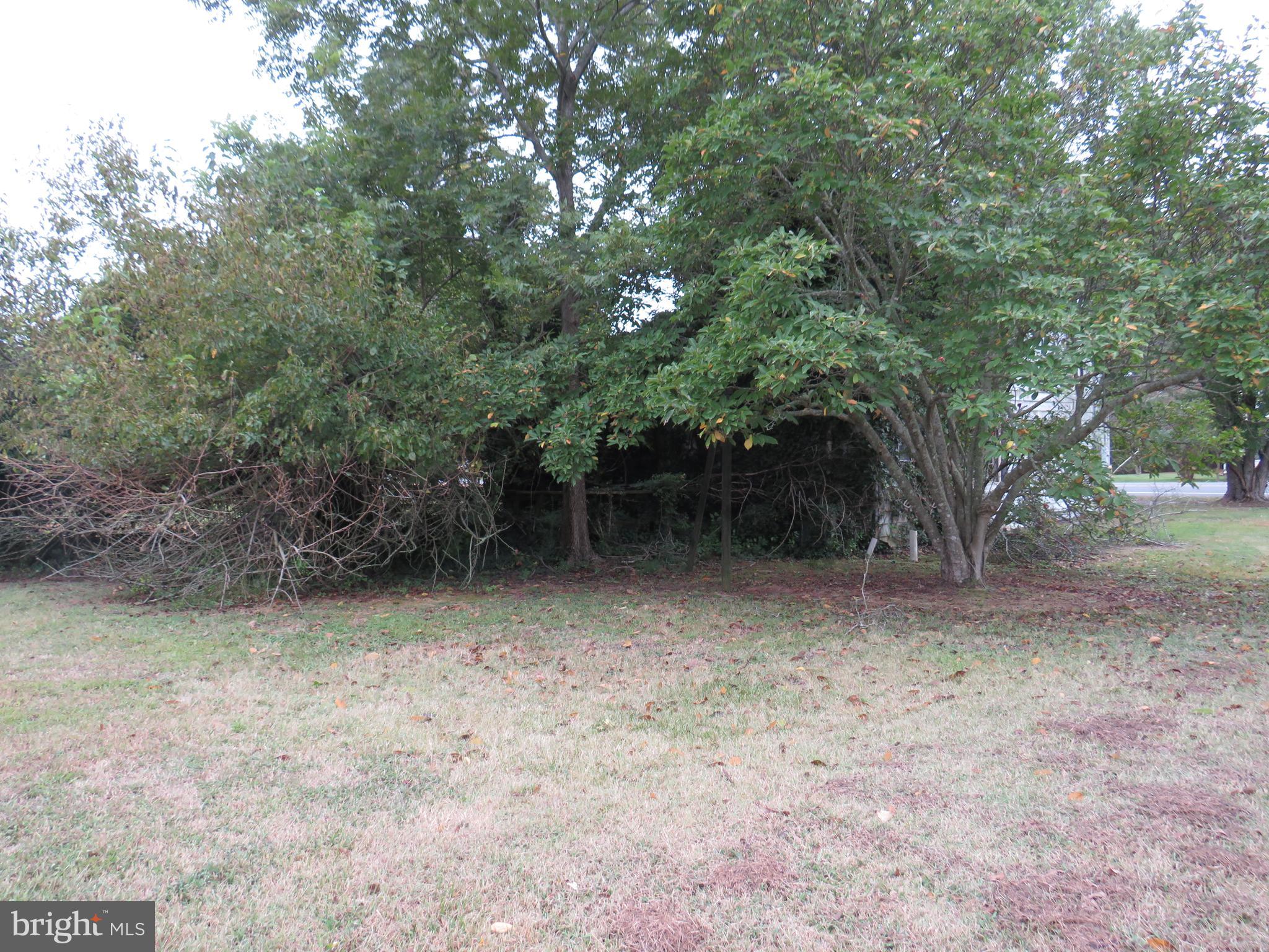 4211 JACKSONVILLE ROAD