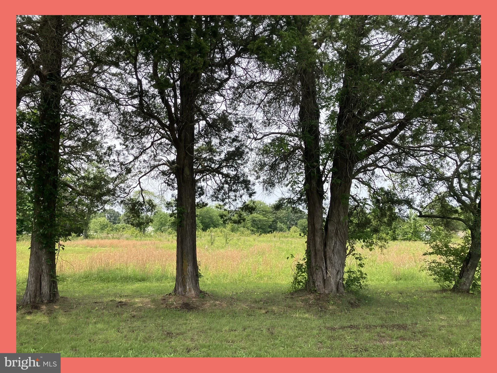 Bushwood, Maryland 20618, United States, ,Land,Active,155142