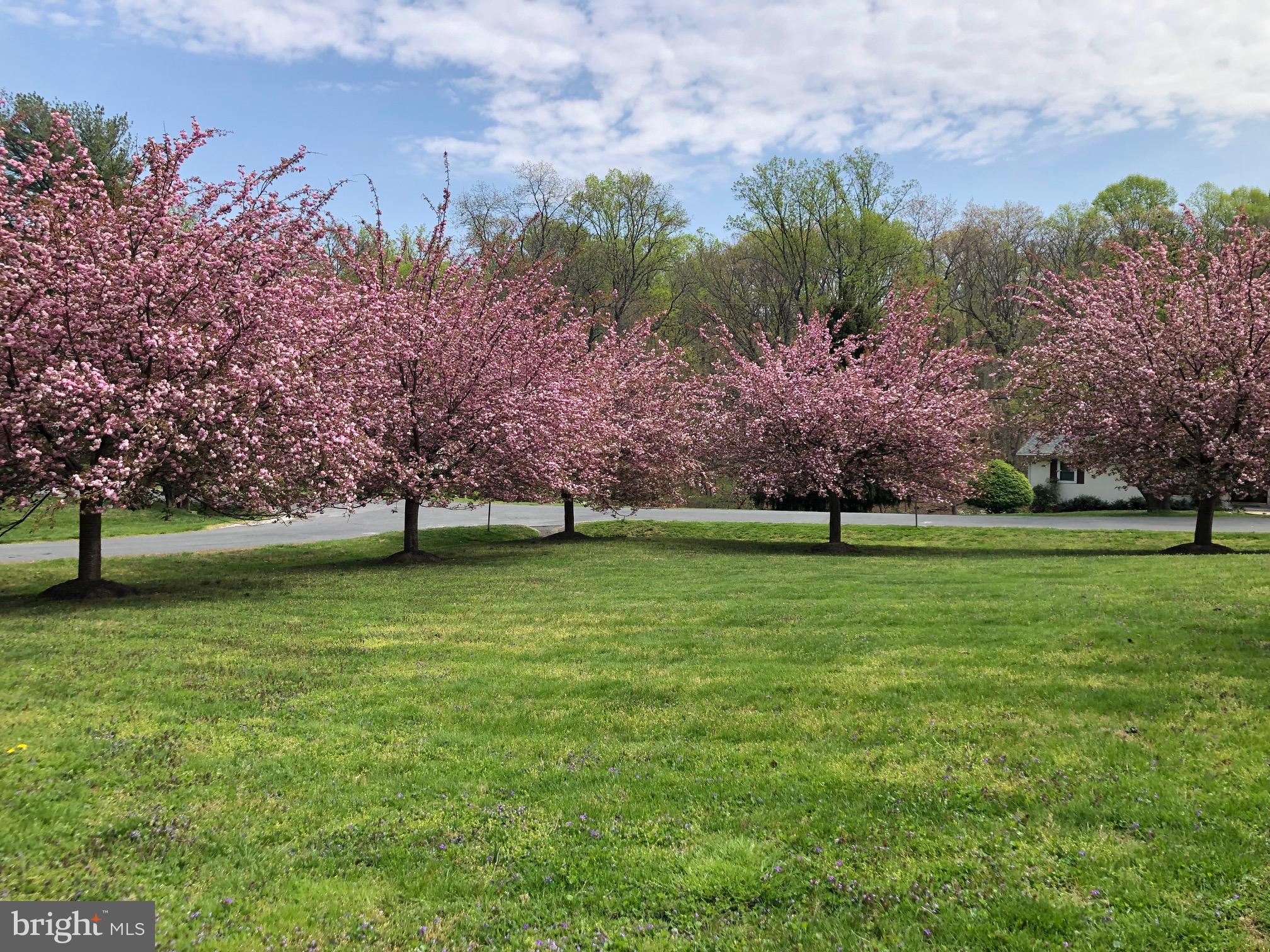 17724 TREE LAWN DRIVE