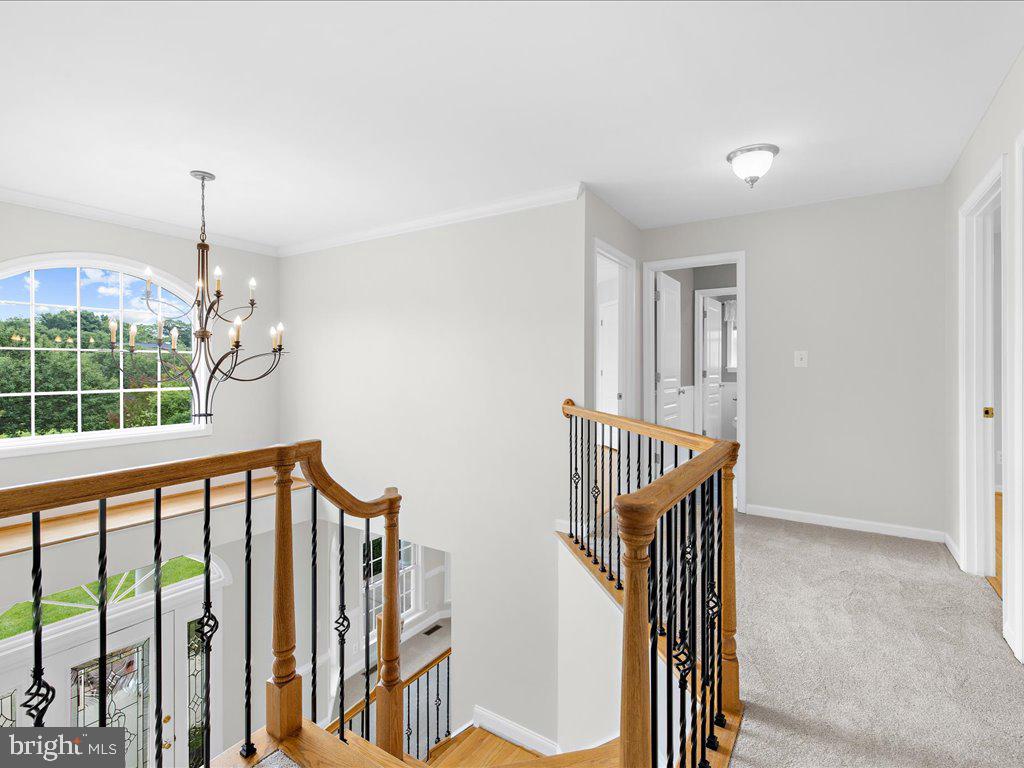 PATUXENT REACH - Residential