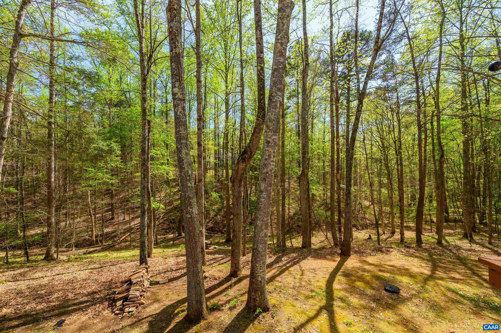 WAVERLY - Residential