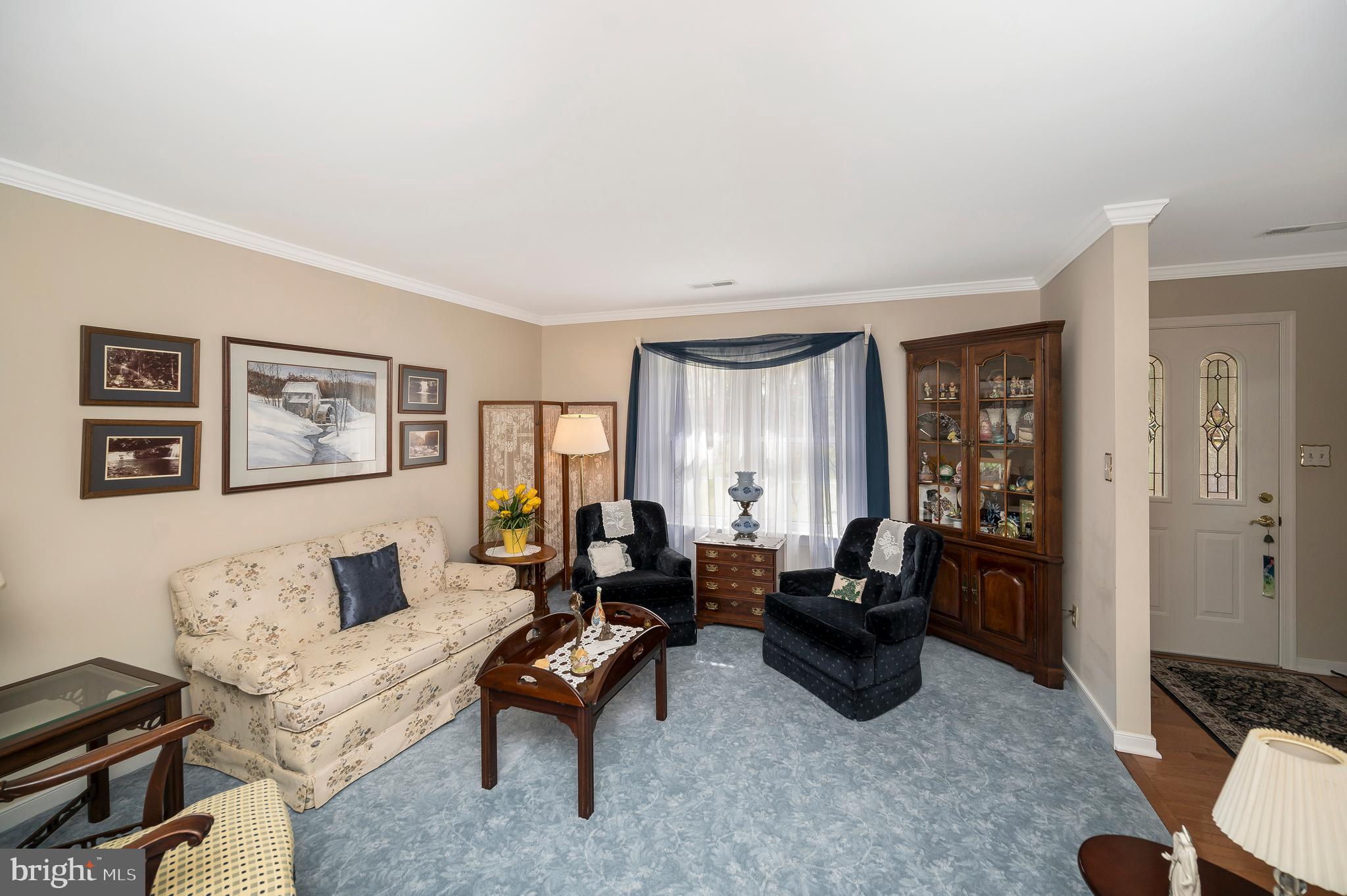 LAKE OF THE WOODS - Residential