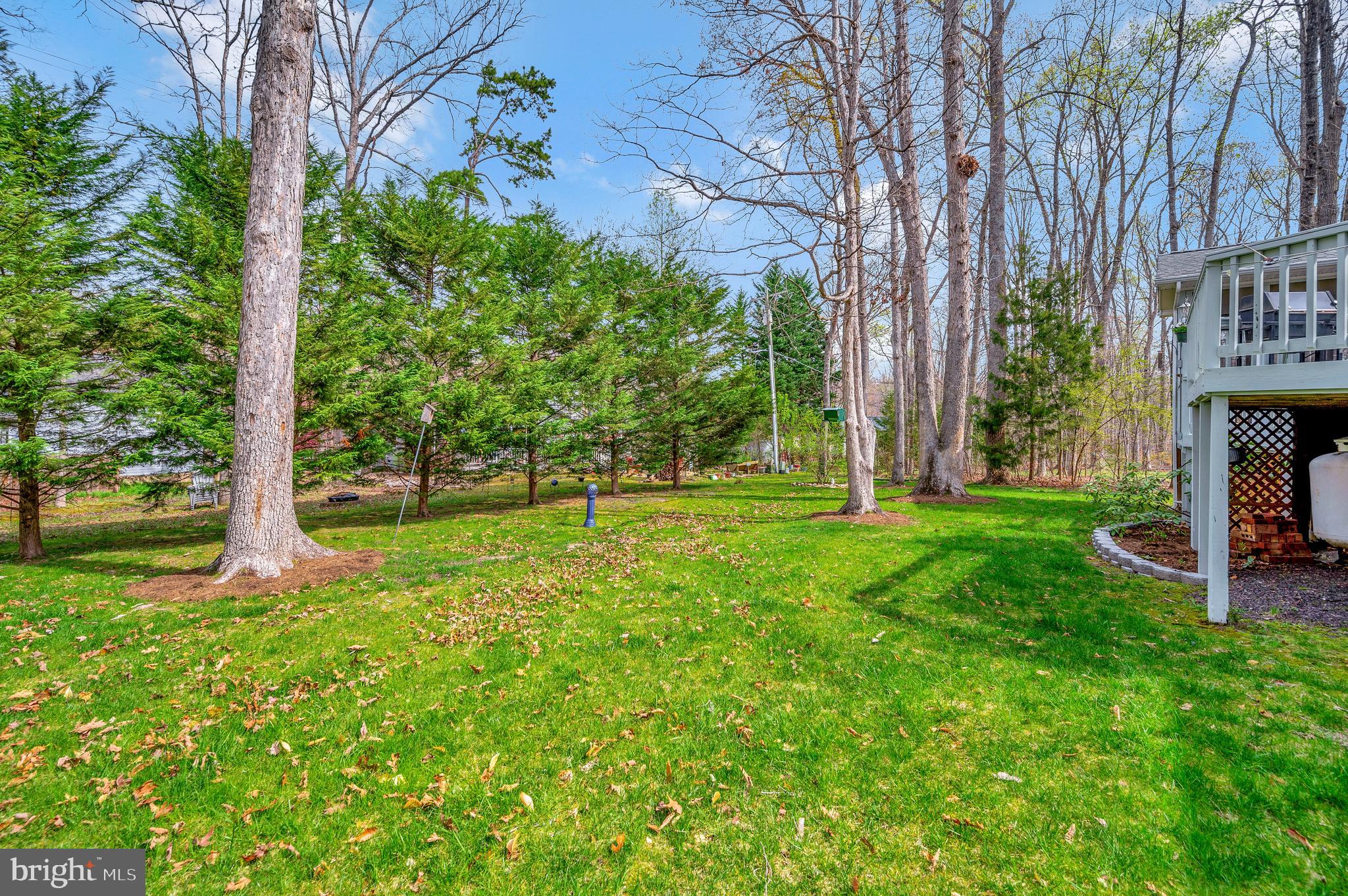 LAKE OF THE WOODS - Residential