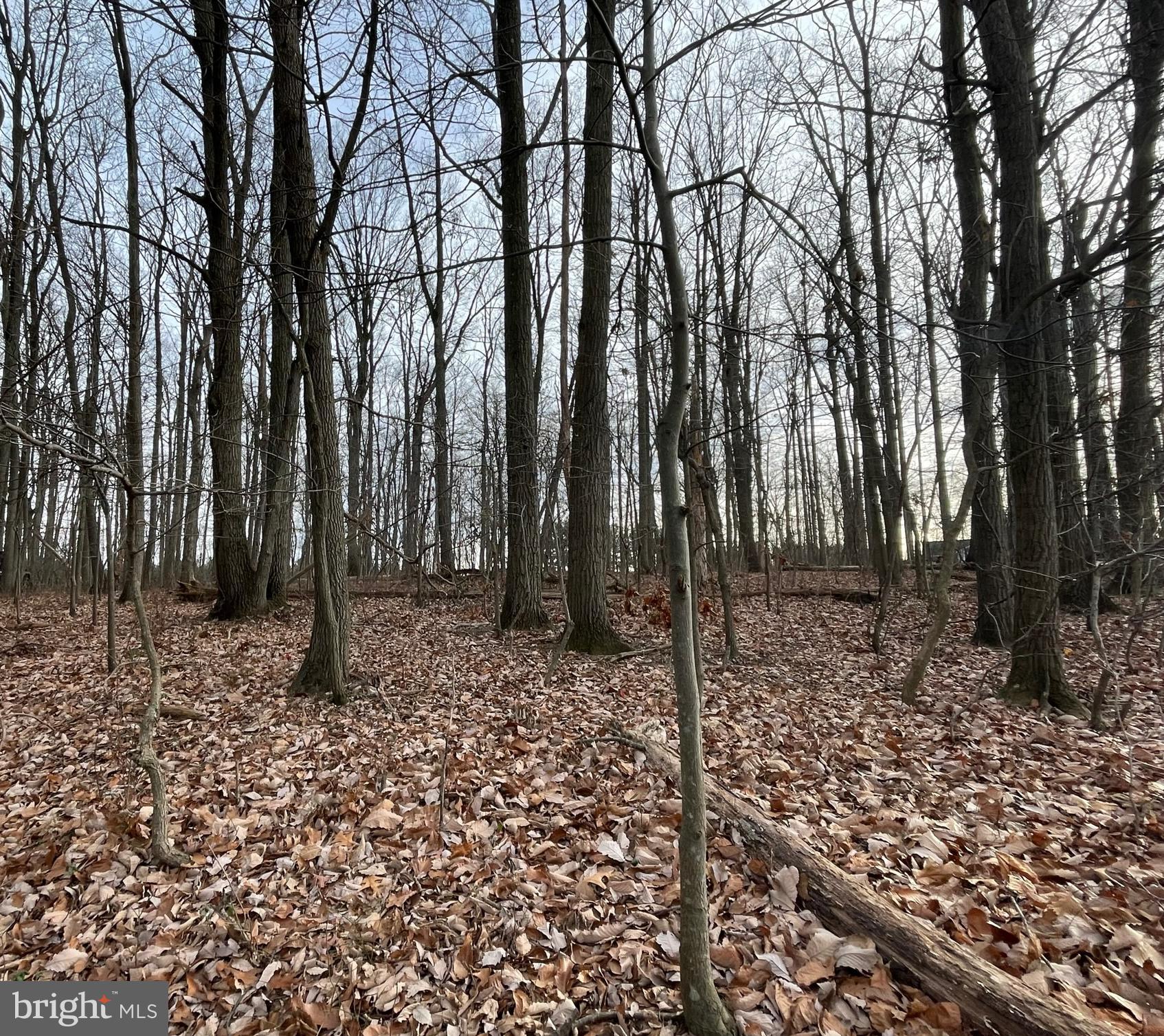 NONE AVAILABLE - Land