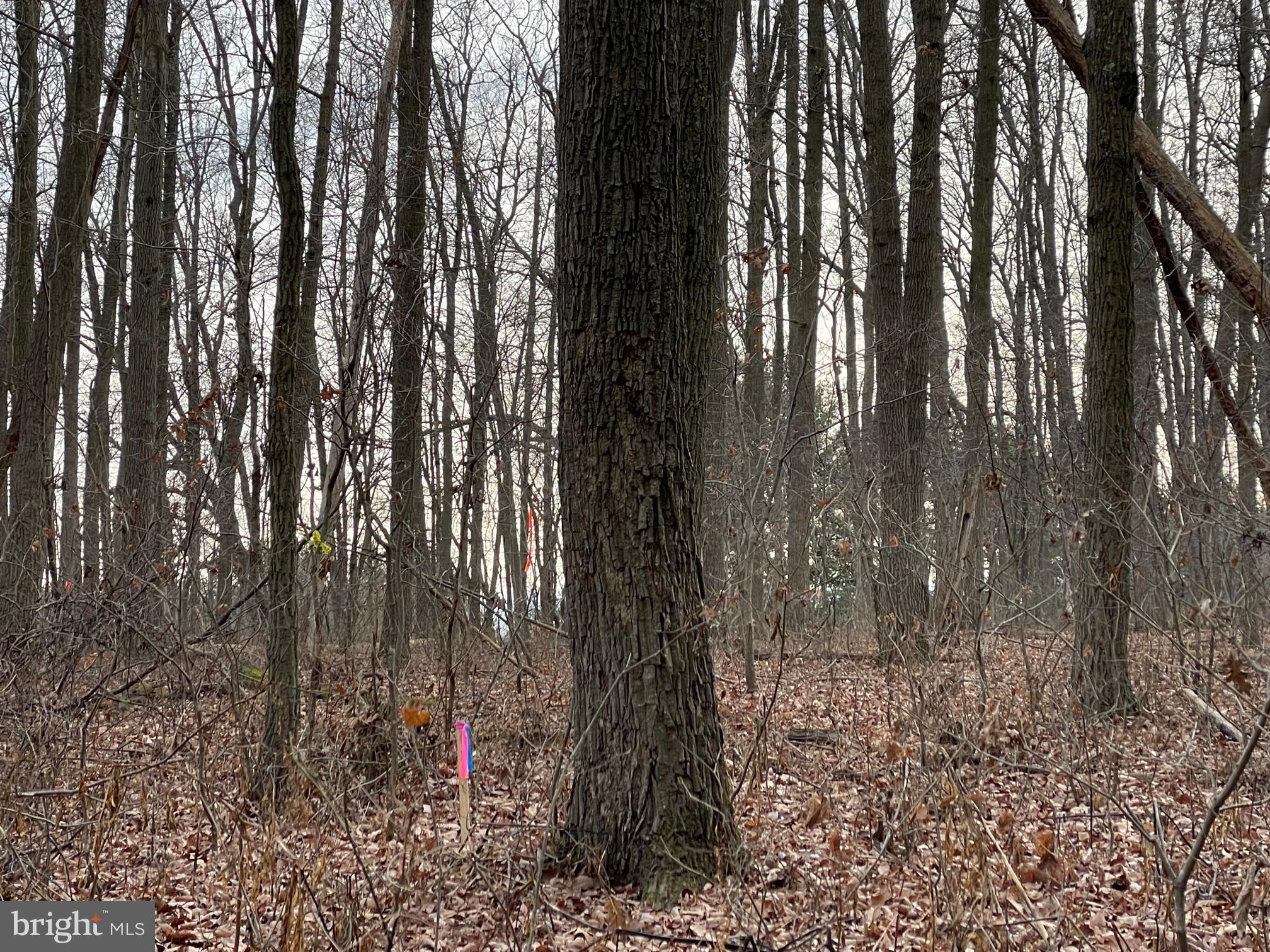 NONE AVAILABLE - Land