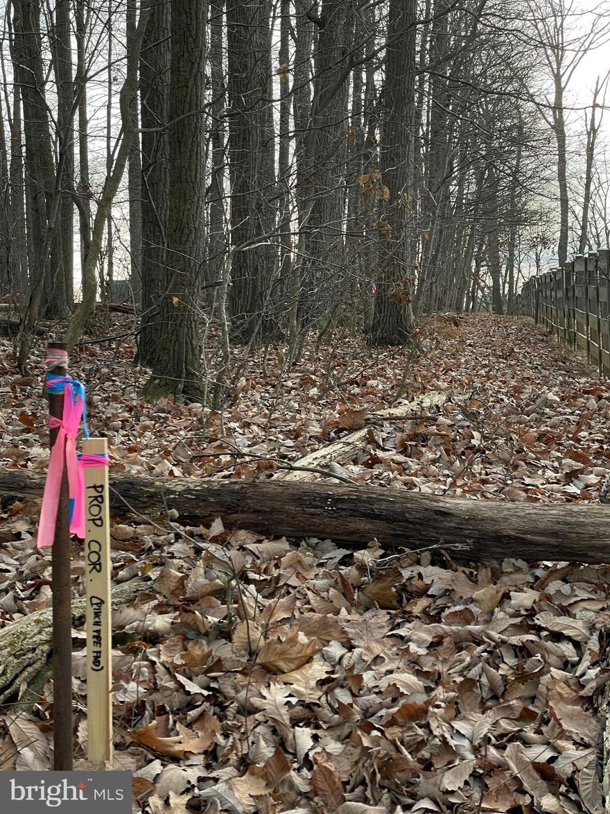 Its almost to good to be true!!!!  In a time when the market has little to offer, this  Beautiful 3 acre wooded lot in southern Carroll County has just become available !!!  This is highly sought after and rare to find land  
located on the outskirts of Mt Airy.  This lot does not have an HOA and does NOT  come with a builder tie-in!!!!   Happy to recommend one if you need help bringing your visions to reality.   
  A conventional perc  was approved and the owner will have the well drilled once the lot is under contract.    The only thing left for you to do is call your favorite realtor for a tour! 

REALTORS - please see agent remarks for exact location - 331 is a parcel number -Not the street address.