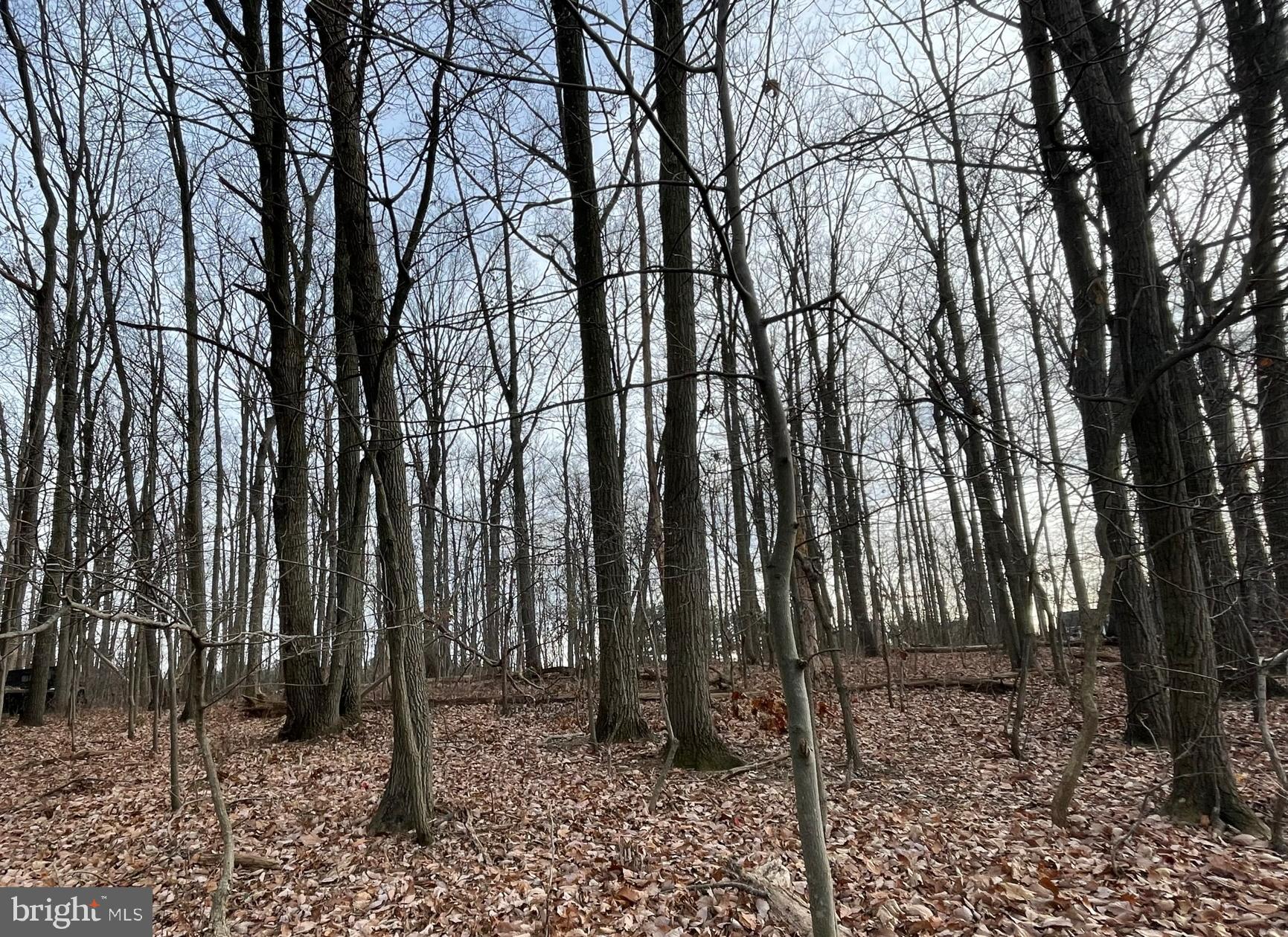 NONE AVAILABLE - Land