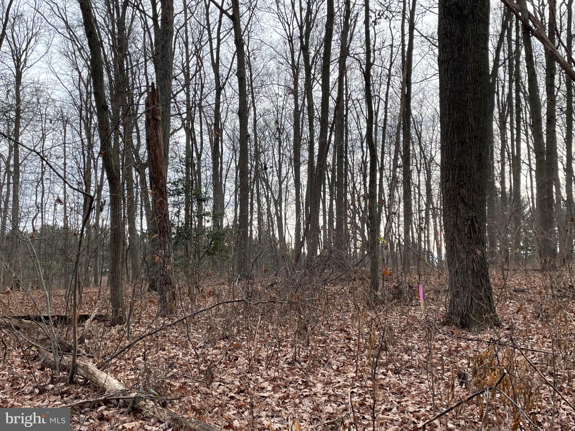 NONE AVAILABLE - Land