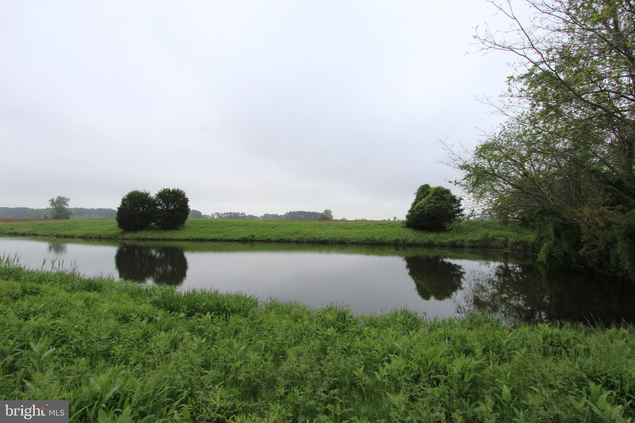 POMONA - Residential