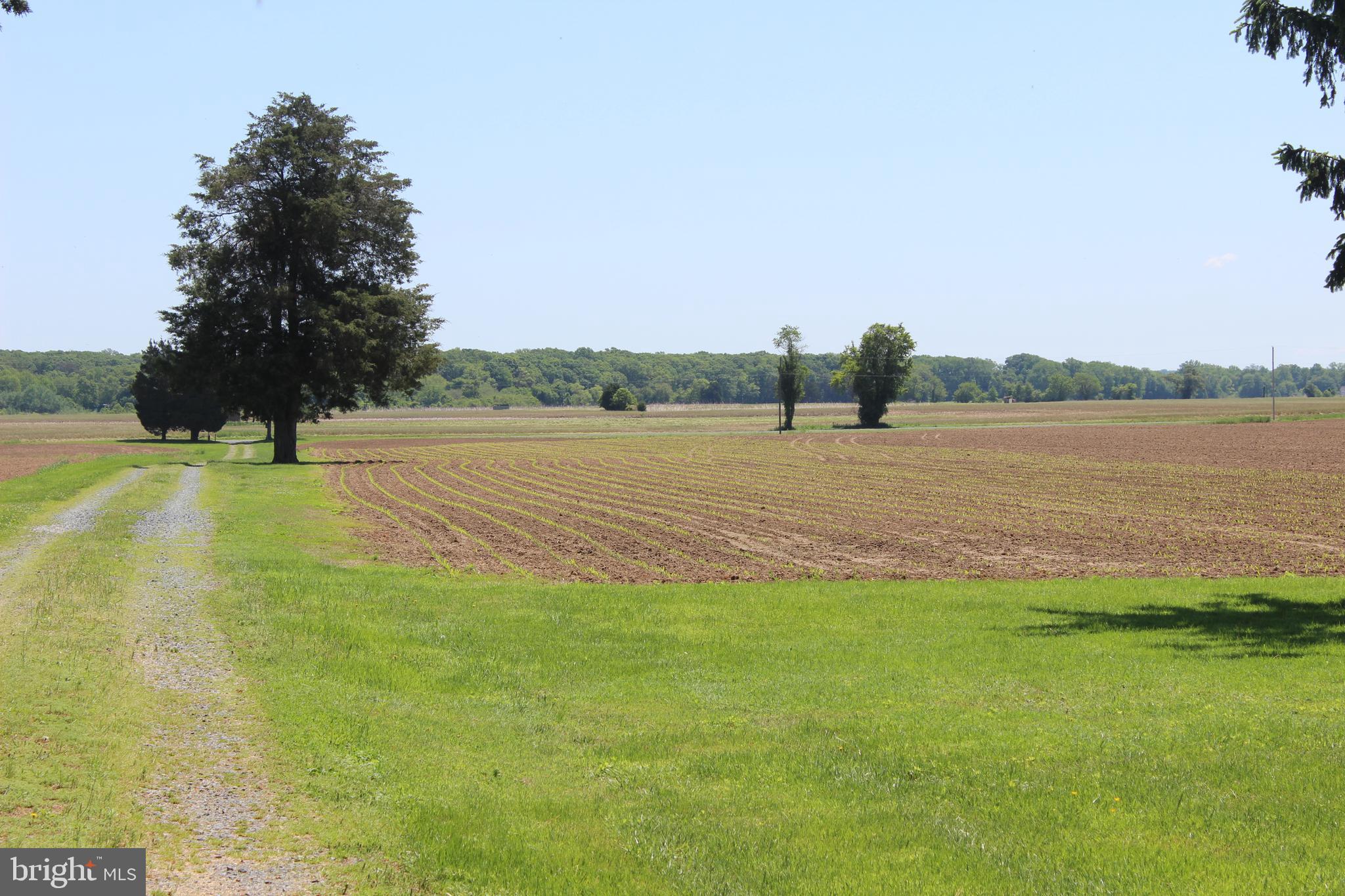 POMONA - Residential