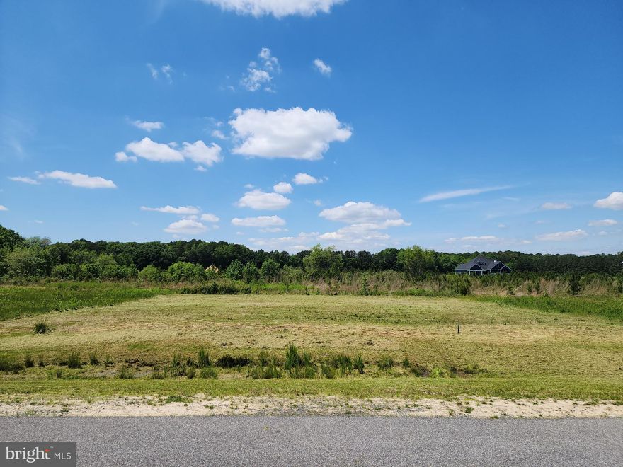 All Cleared Ready to Build on , Privacy in the backyard field and trees , Public Water/Sewer tapped off  , all utilities electic , phone ,High Speed etc   also on lot , No time limit on building , No builder Tie ins , Newest Community within Ocean Pines