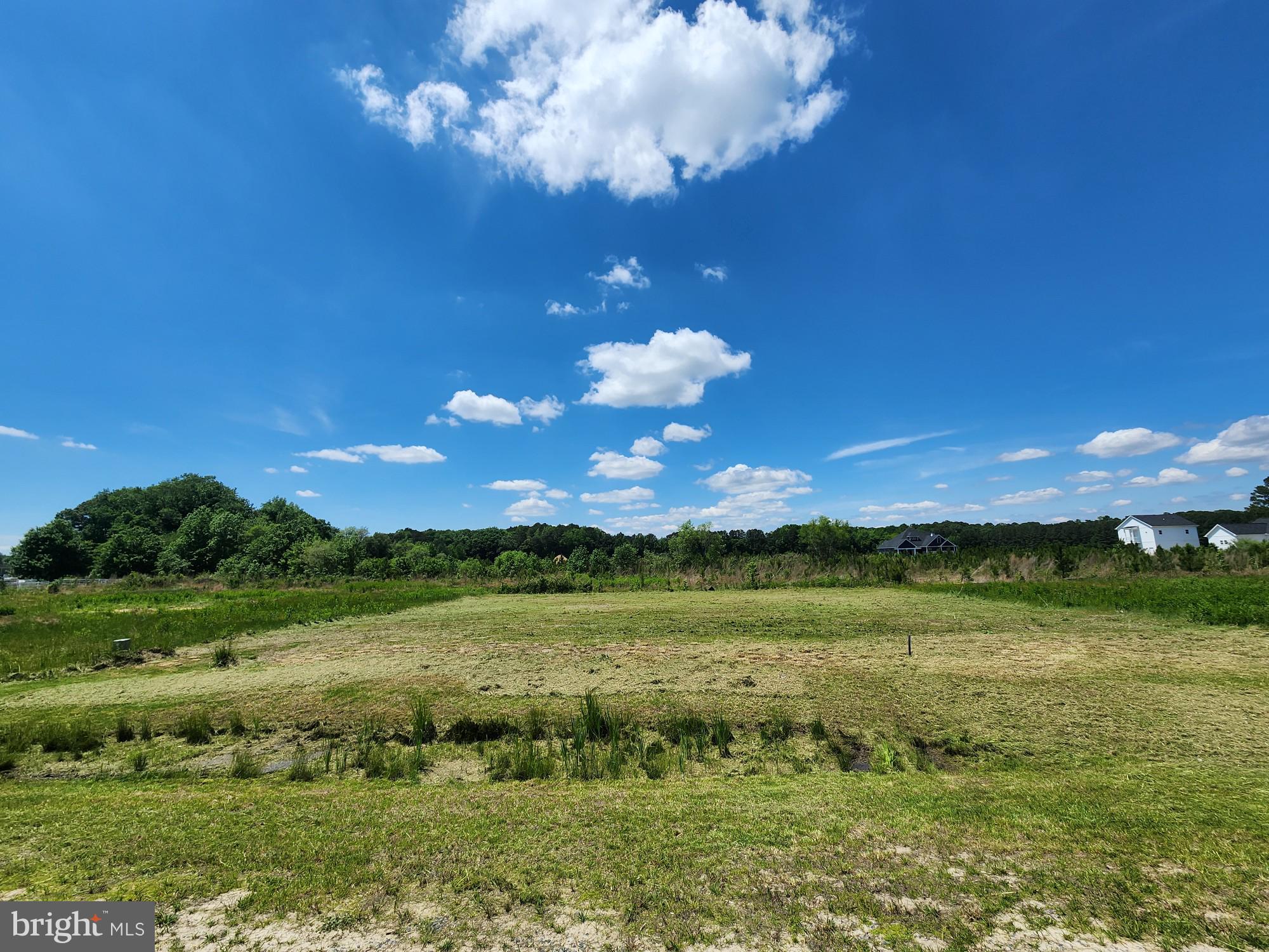 TRIPLE CROWN ESTATES - Land