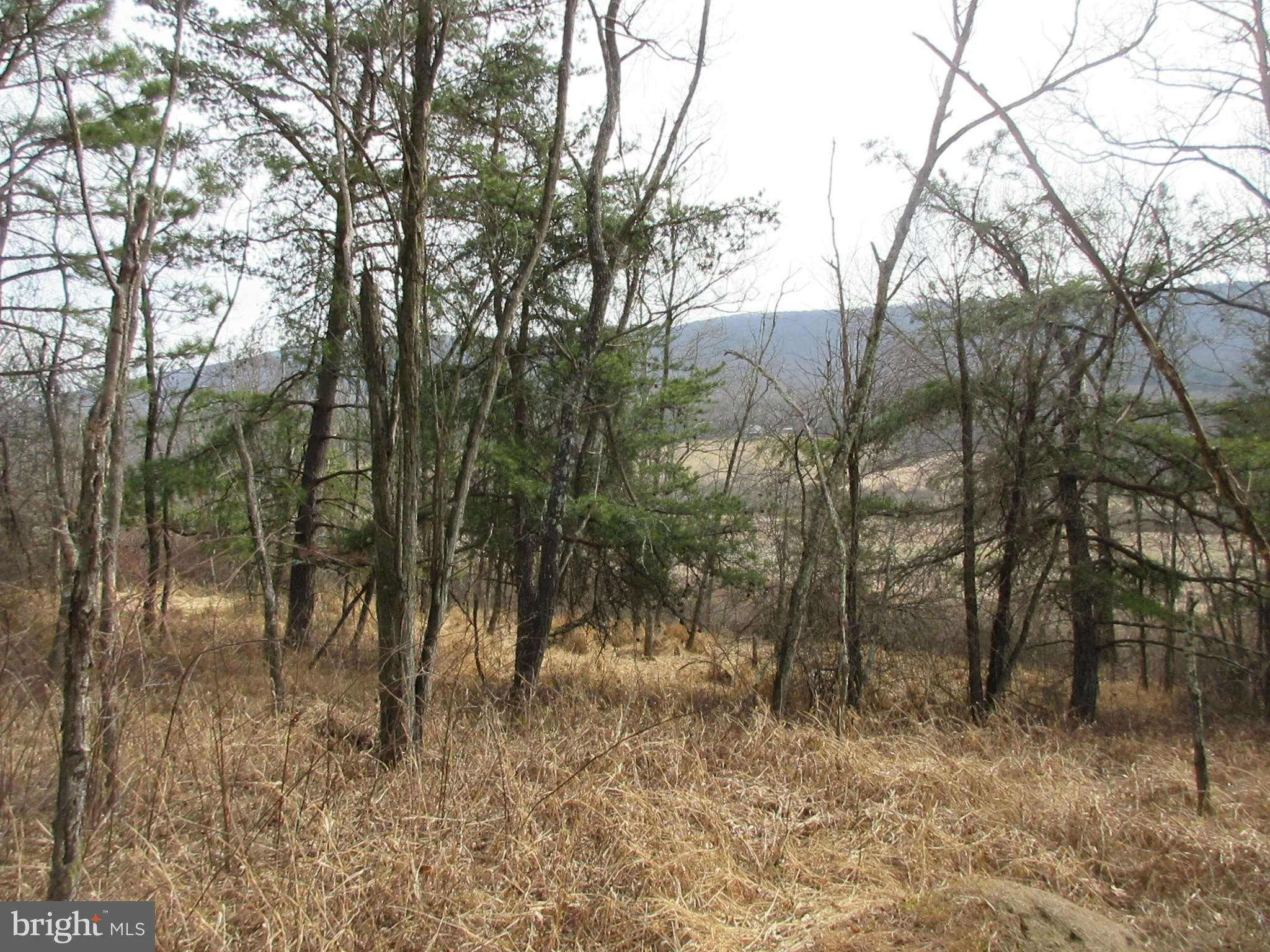 Additional image 2 of Route 23/10 Trout Run Roa, Wardensville, WV 26851