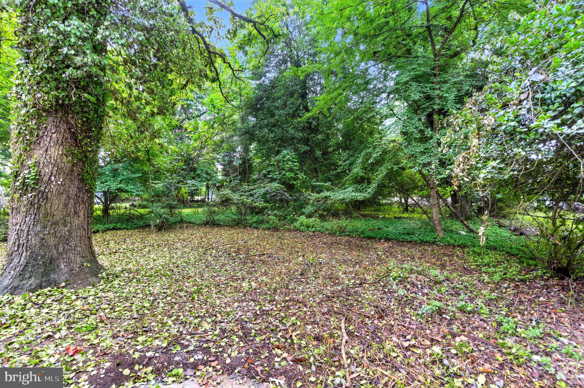 GWYNN OAK - Residential