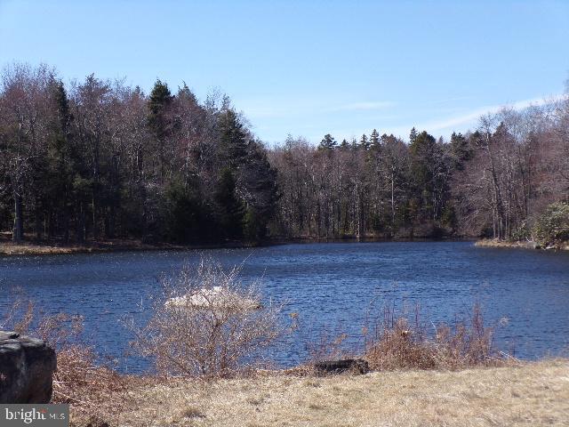 COVINGTON LAKES EST - Land