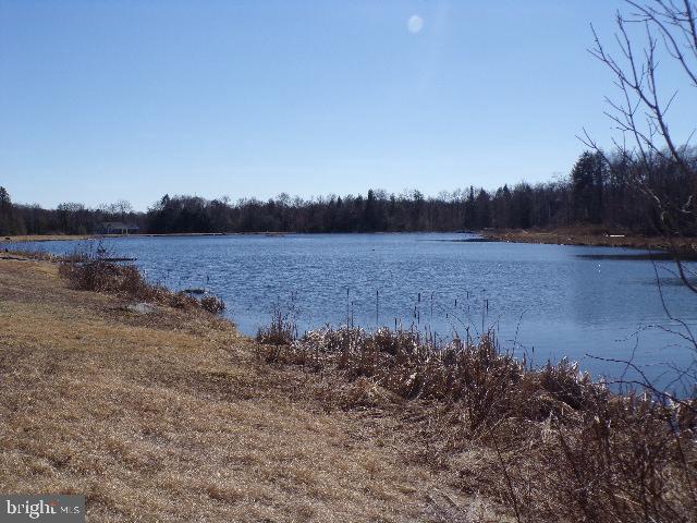 COVINGTON LAKES EST - Land