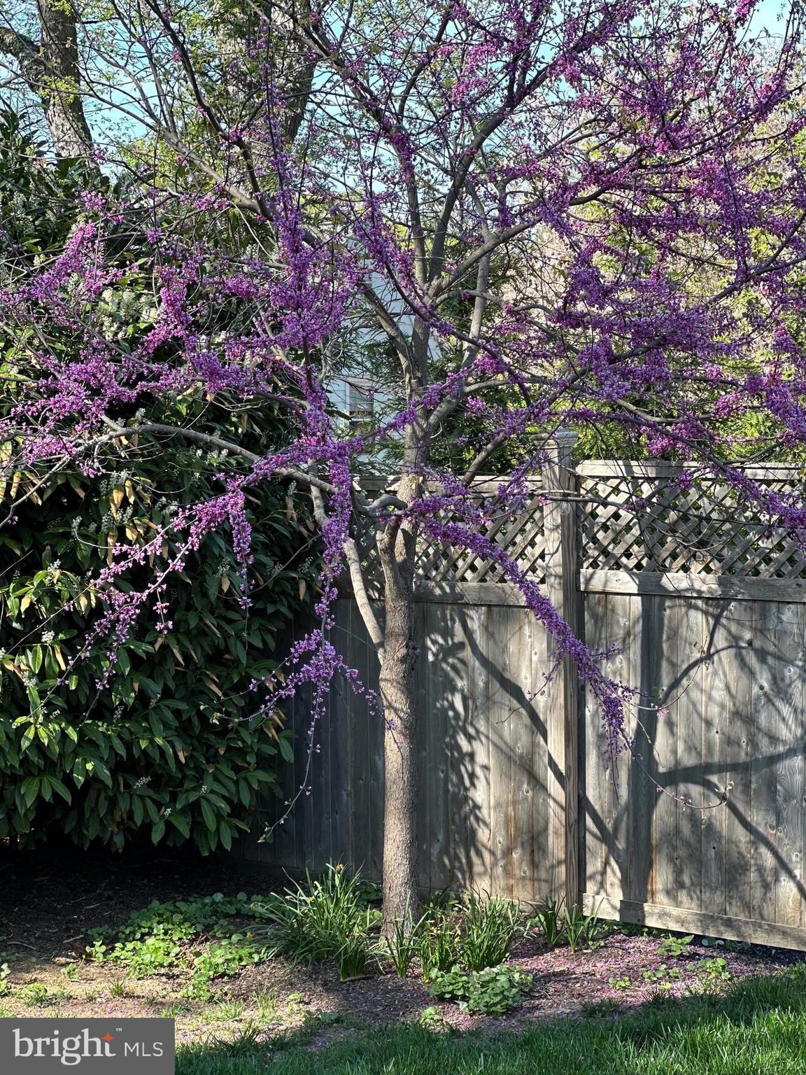 DEEPDALE - Residential