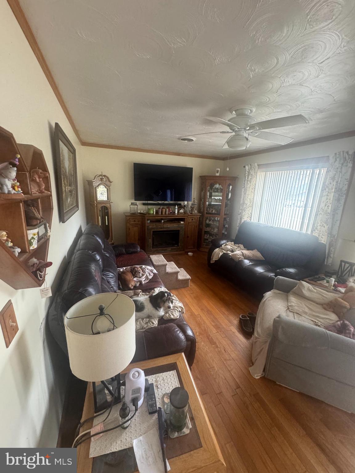 105 LOCUST DRIVE