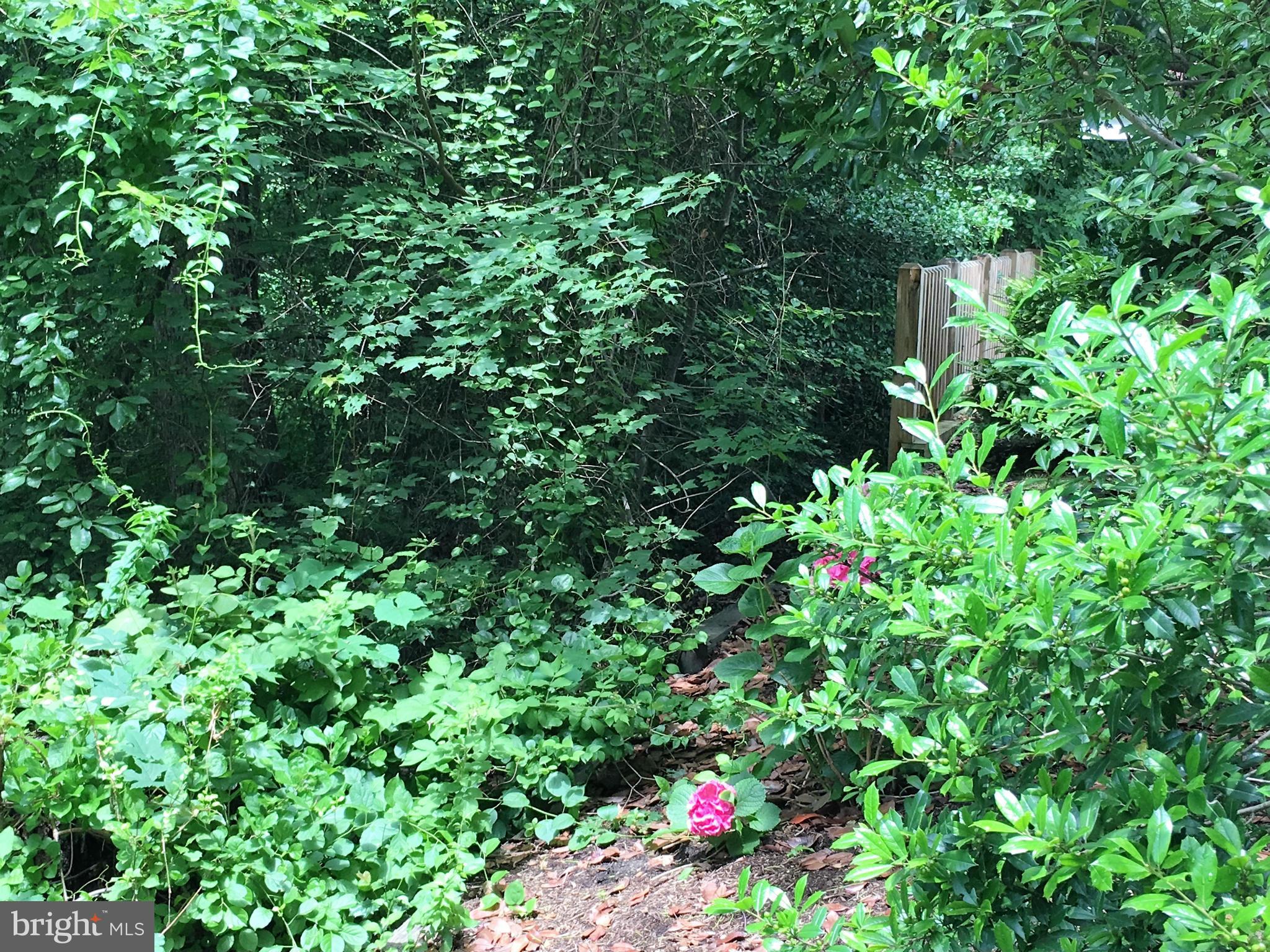 MCKINSEY PARK - Residential Lease