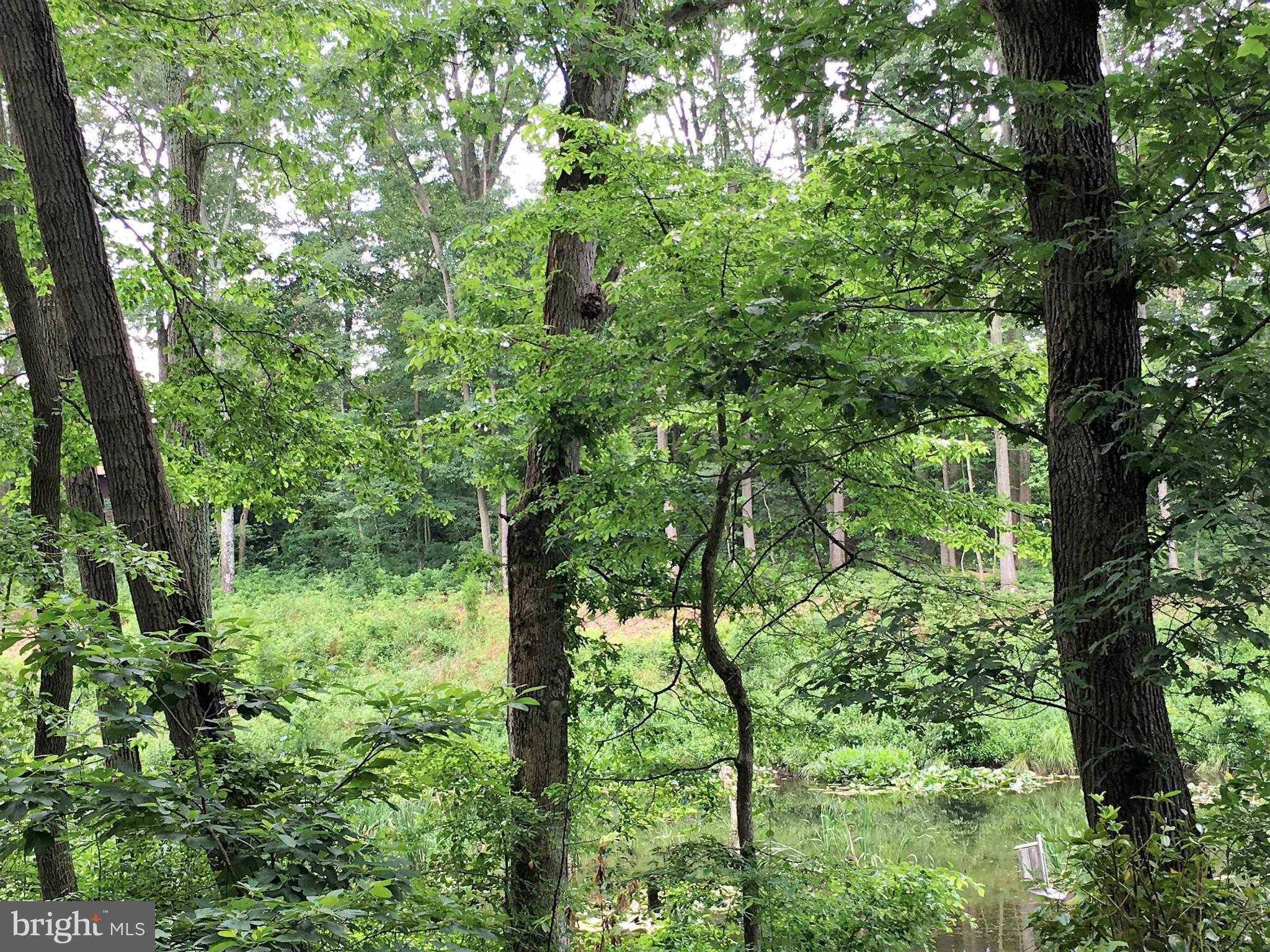 MCKINSEY PARK - Residential Lease