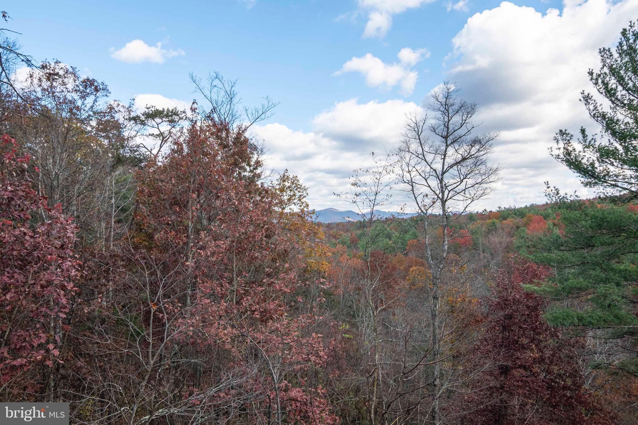 BRYCE  MOUNTAIN  RESORT - Residential