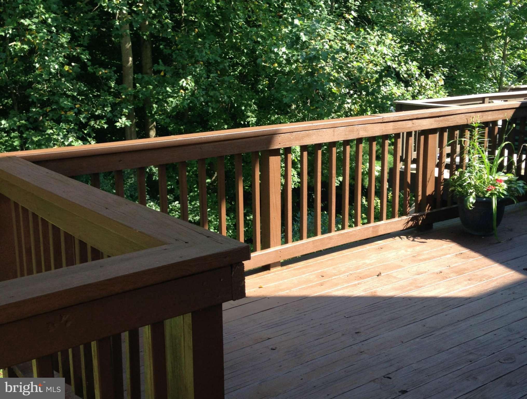 FOXBOROUGH FARMS - Residential