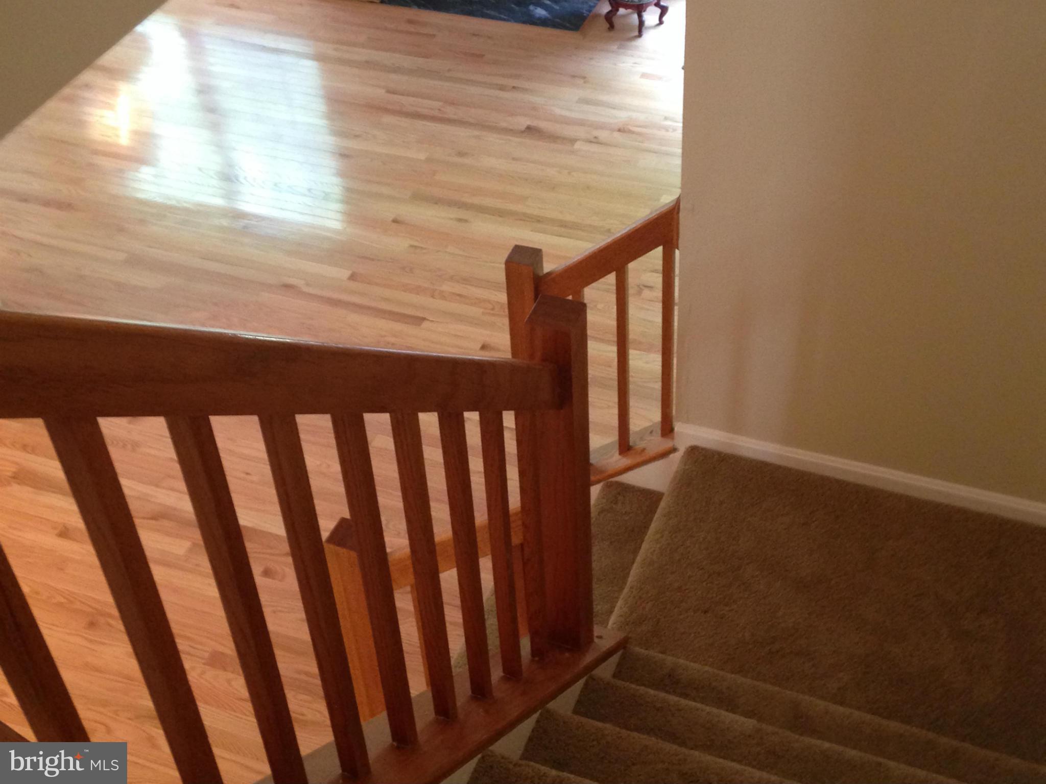 FOXBOROUGH FARMS - Residential