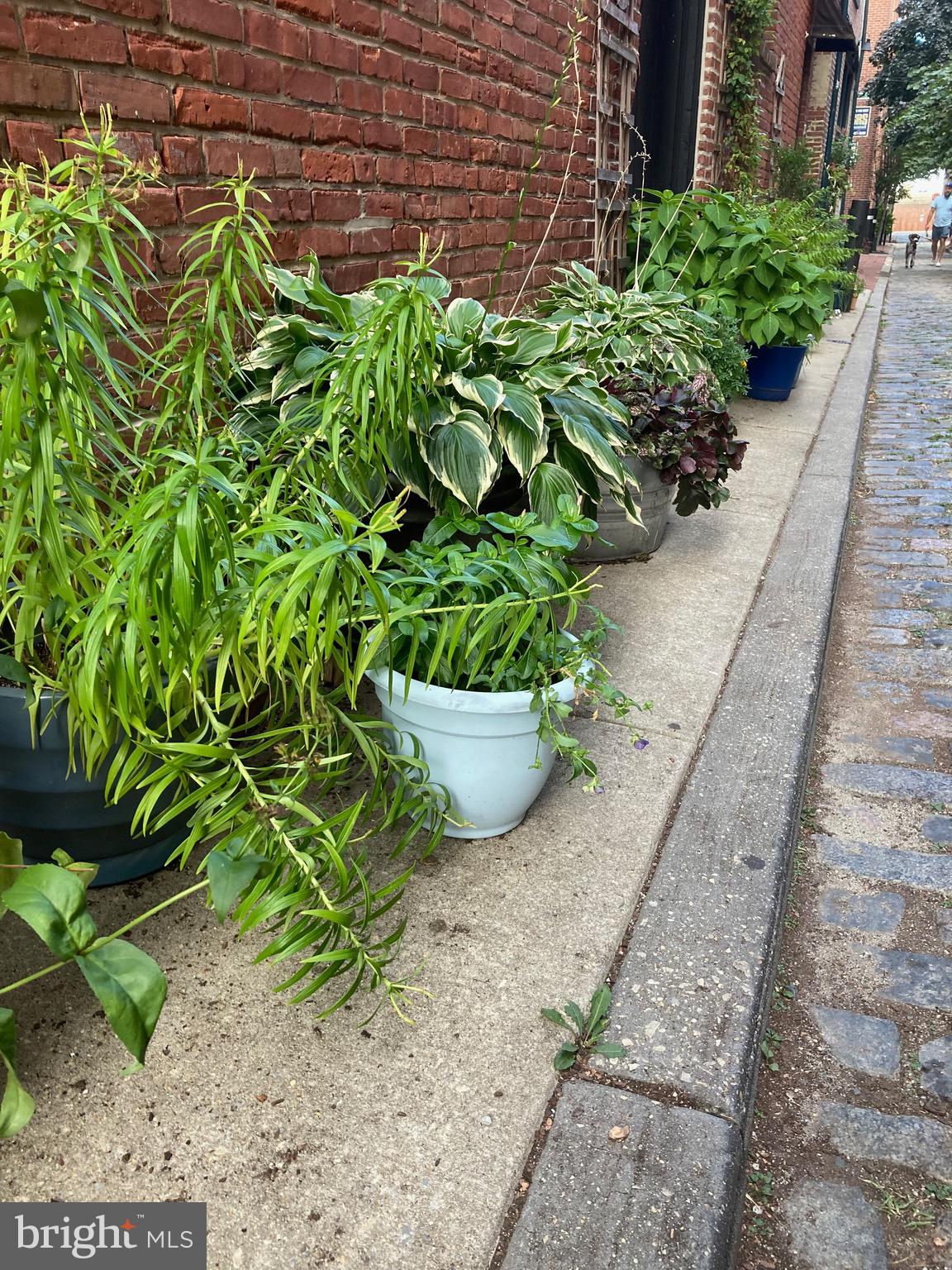 OLD CITY - Residential