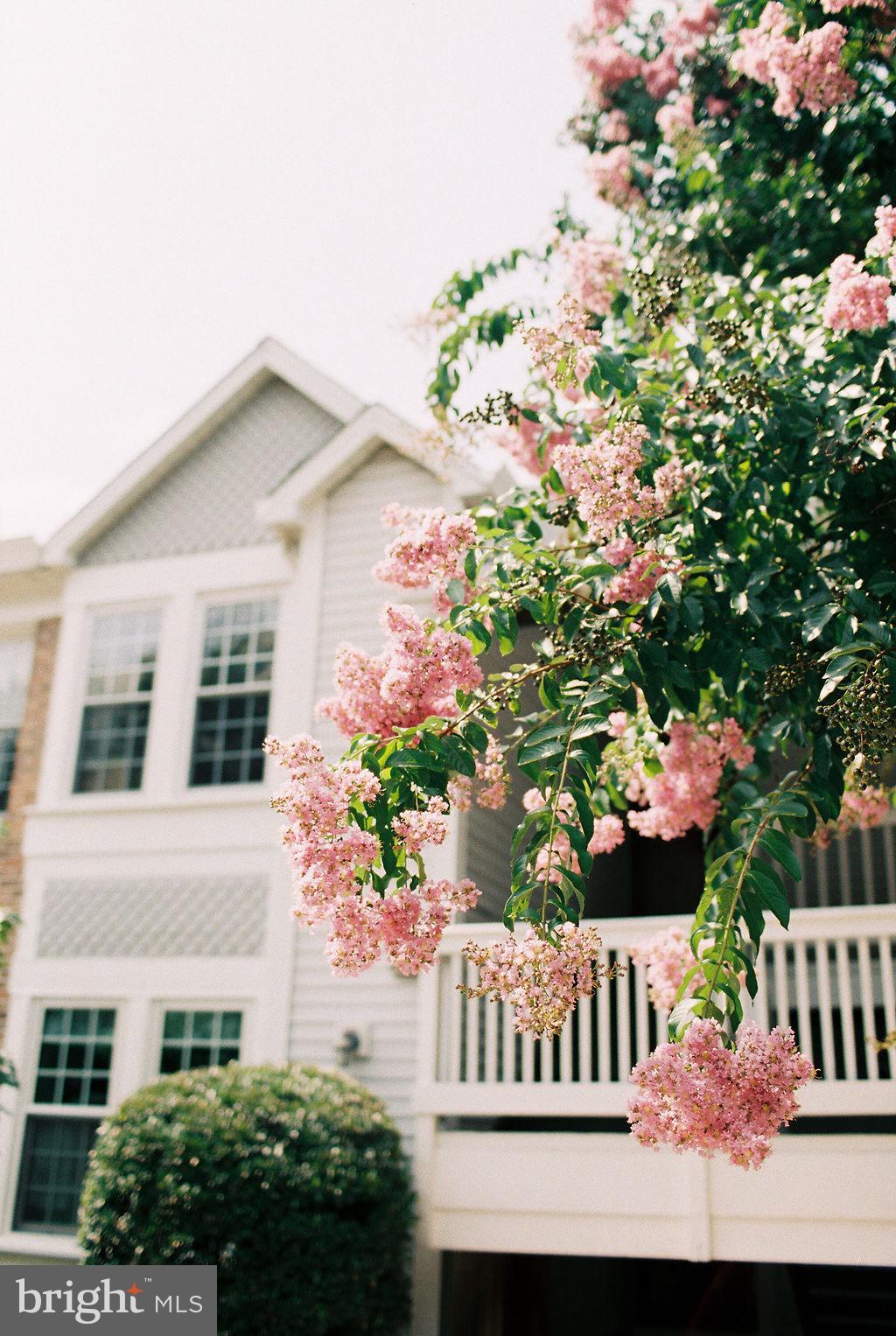 WATERS EDGE - Residential