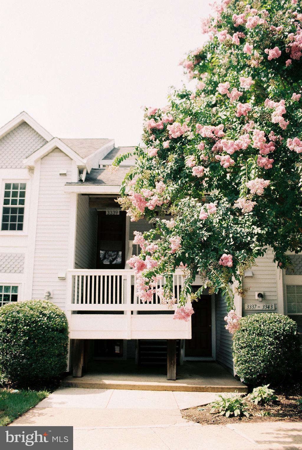 WATERS EDGE - Residential