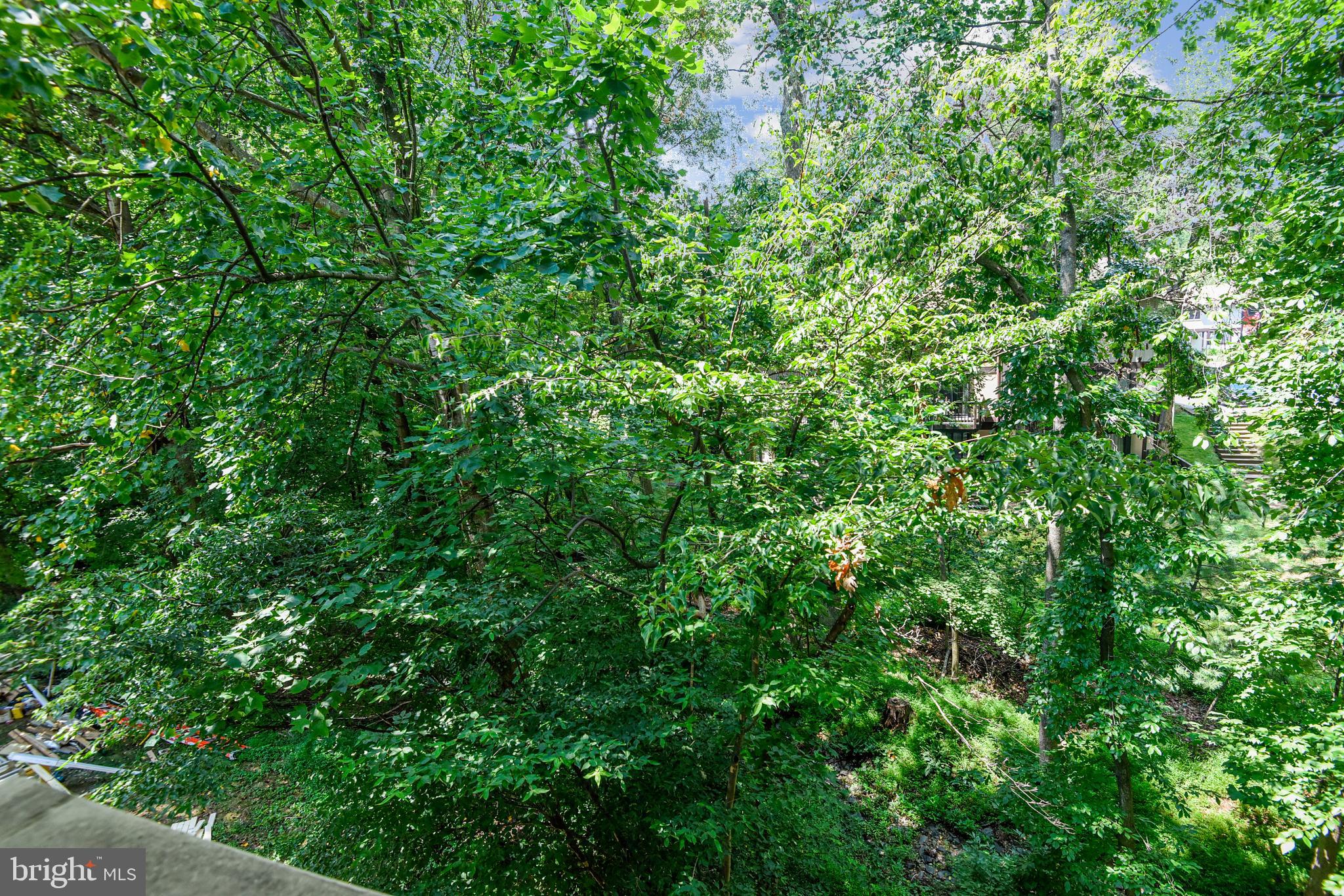 RESTON - Residential Lease