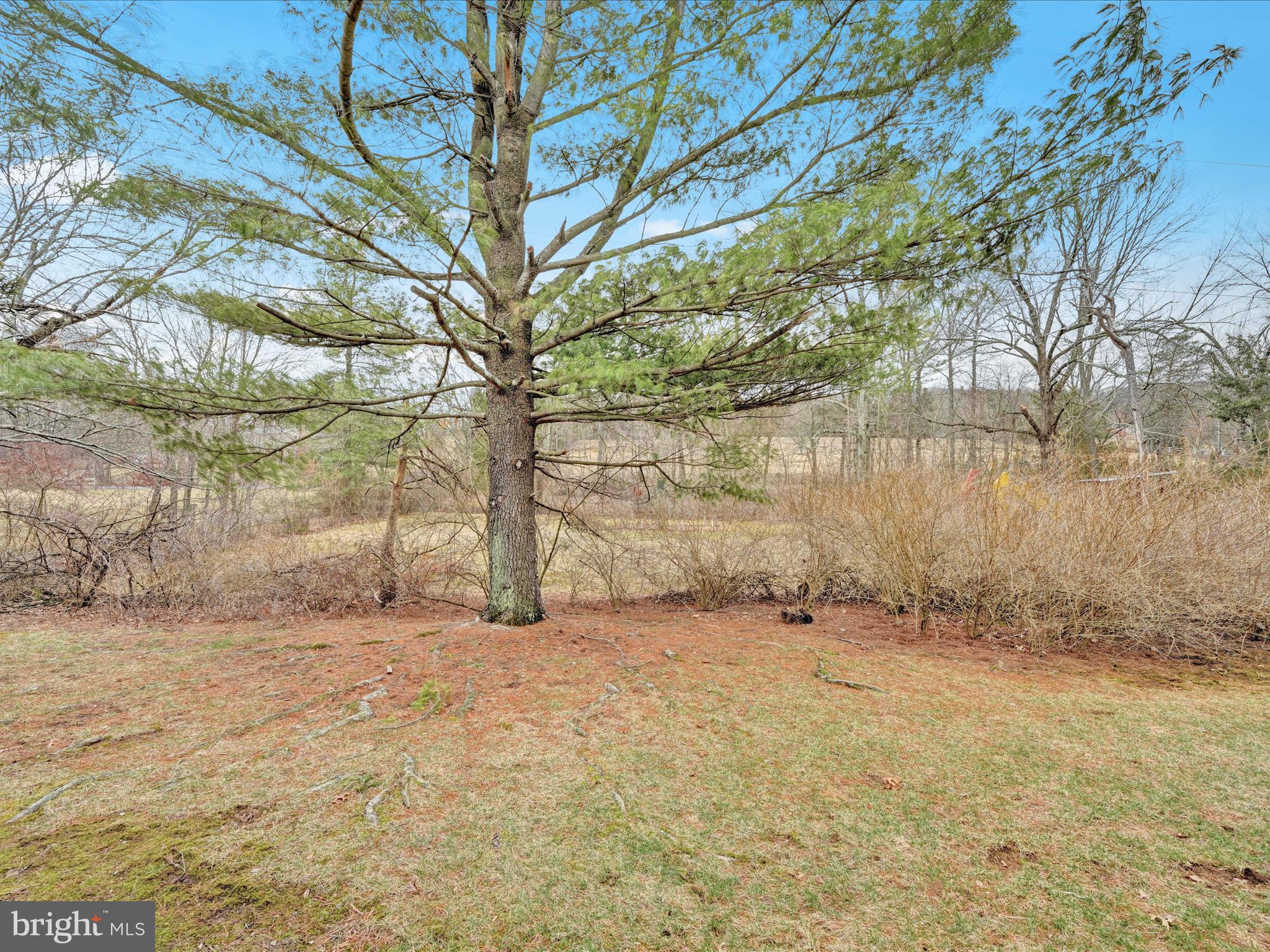 PINEBROOK - Residential