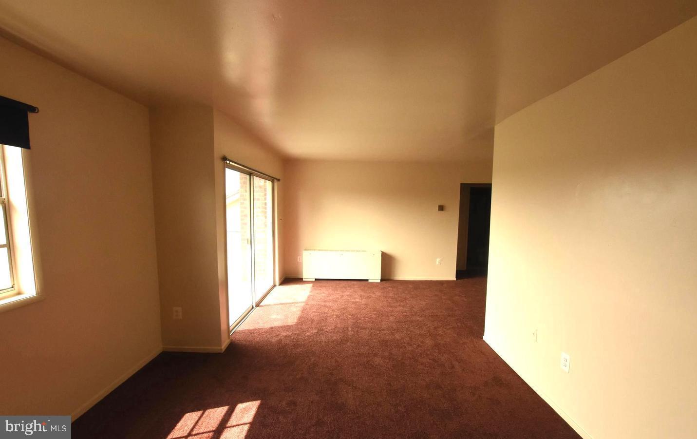 4507 ROMLON STREET 203