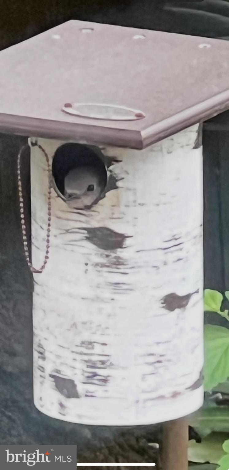 FAIRFAX CLUB ESTATES - Residential