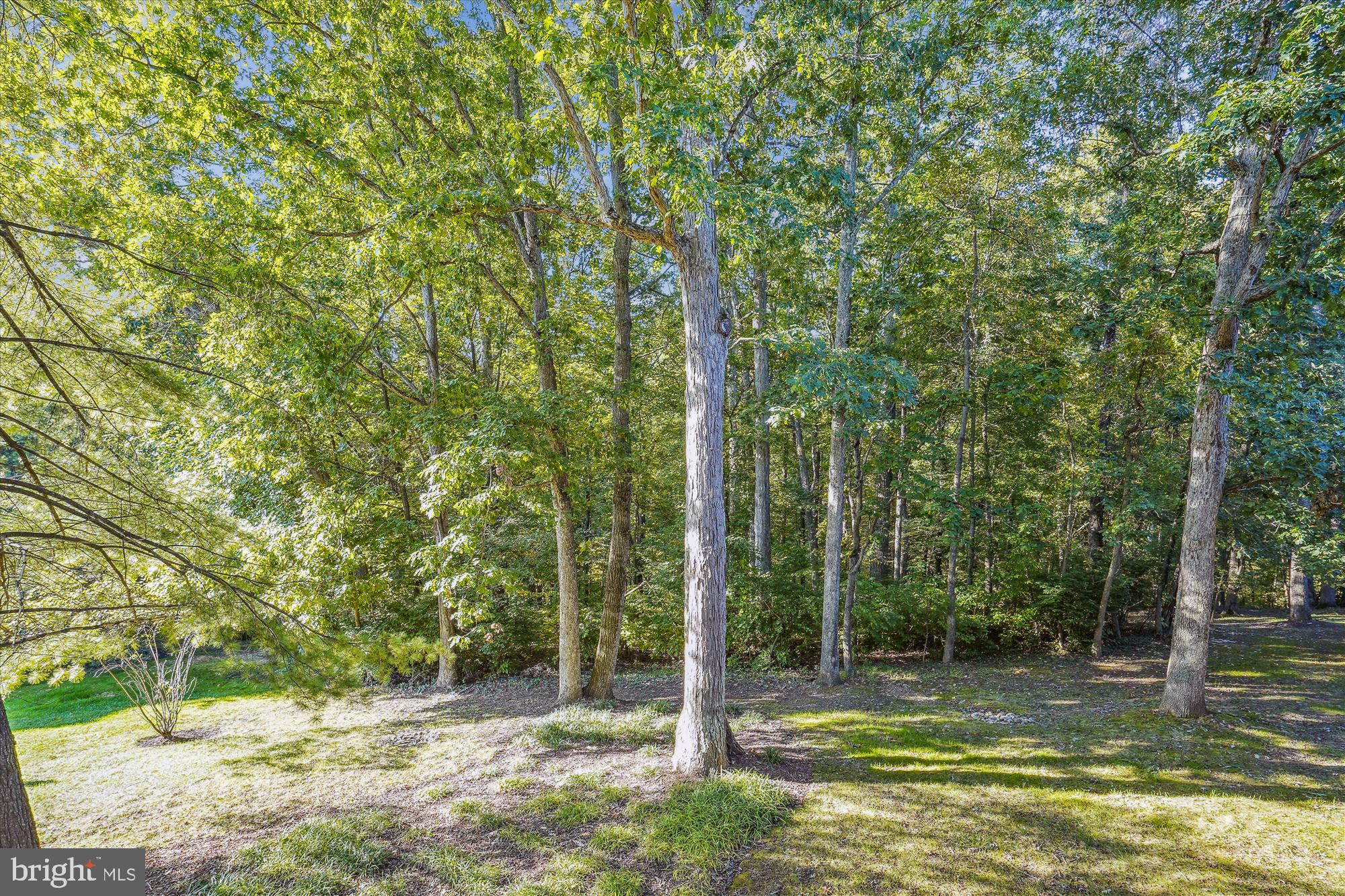 BENTANA PARK - Residential