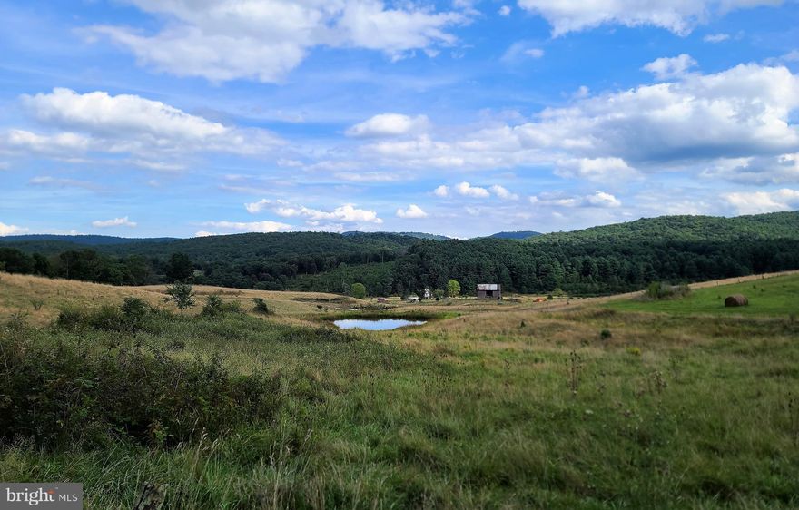 Beautiful WV farm near the Virginia state line with acreage in pasture, hay and woods.  Excellent hunting. Unlimited potential for farming and residence. The area in known for its recreational opportunities with miles of the South Branch of the Potomac River within close proximity.  Multiple stocked trout waters and Thorn Creek Catch and Release Area nearby. 20 mi +/- to Monterey, VA.  12 mi +/- to Franklin, WV.  50 mi +/- to the Homestead Resort in Warm Springs, VA.  There is a first right of refusal on property.  This listing is for the east side of the road only.