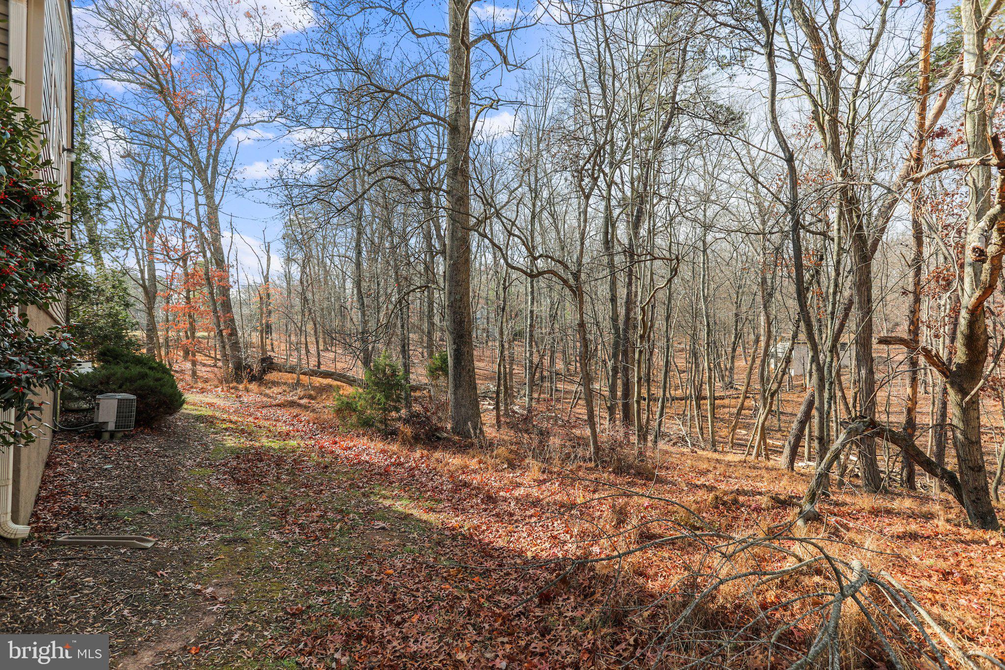 THE WOODS - Residential