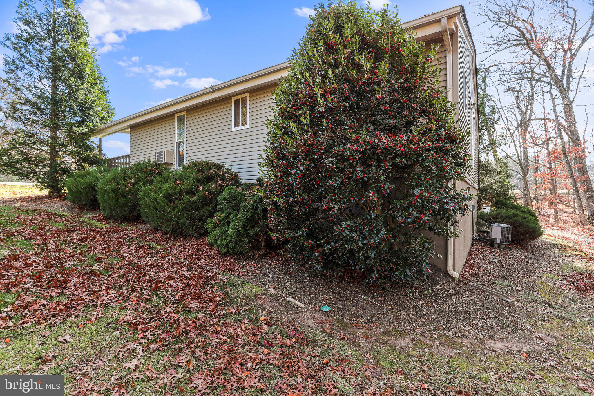 THE WOODS - Residential