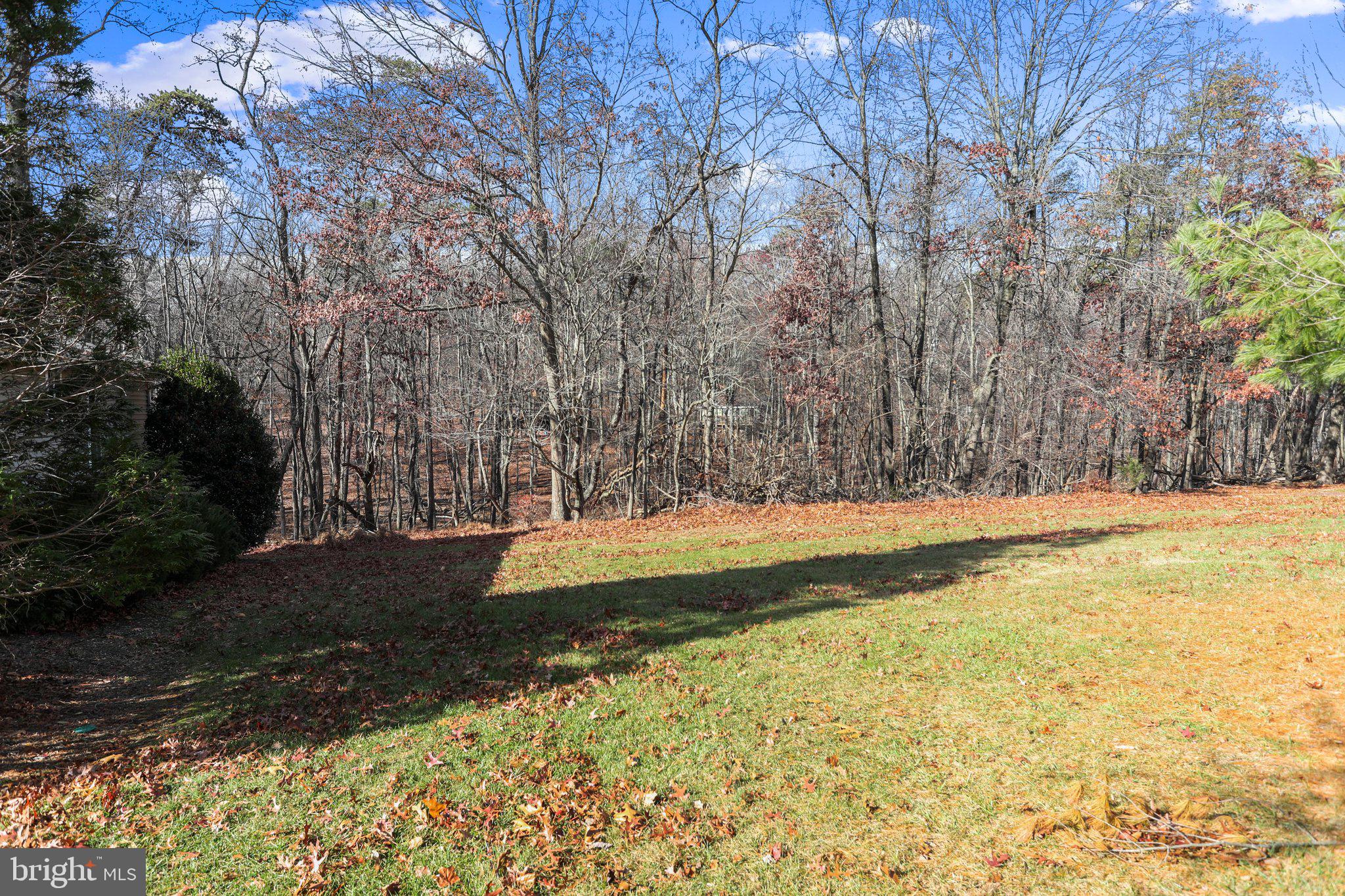 THE WOODS - Residential