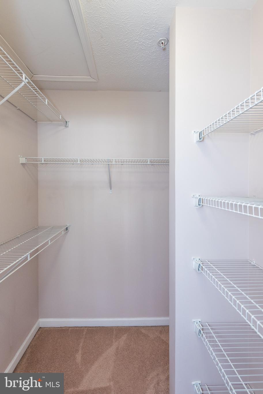 HOLLY WOODS - Residential