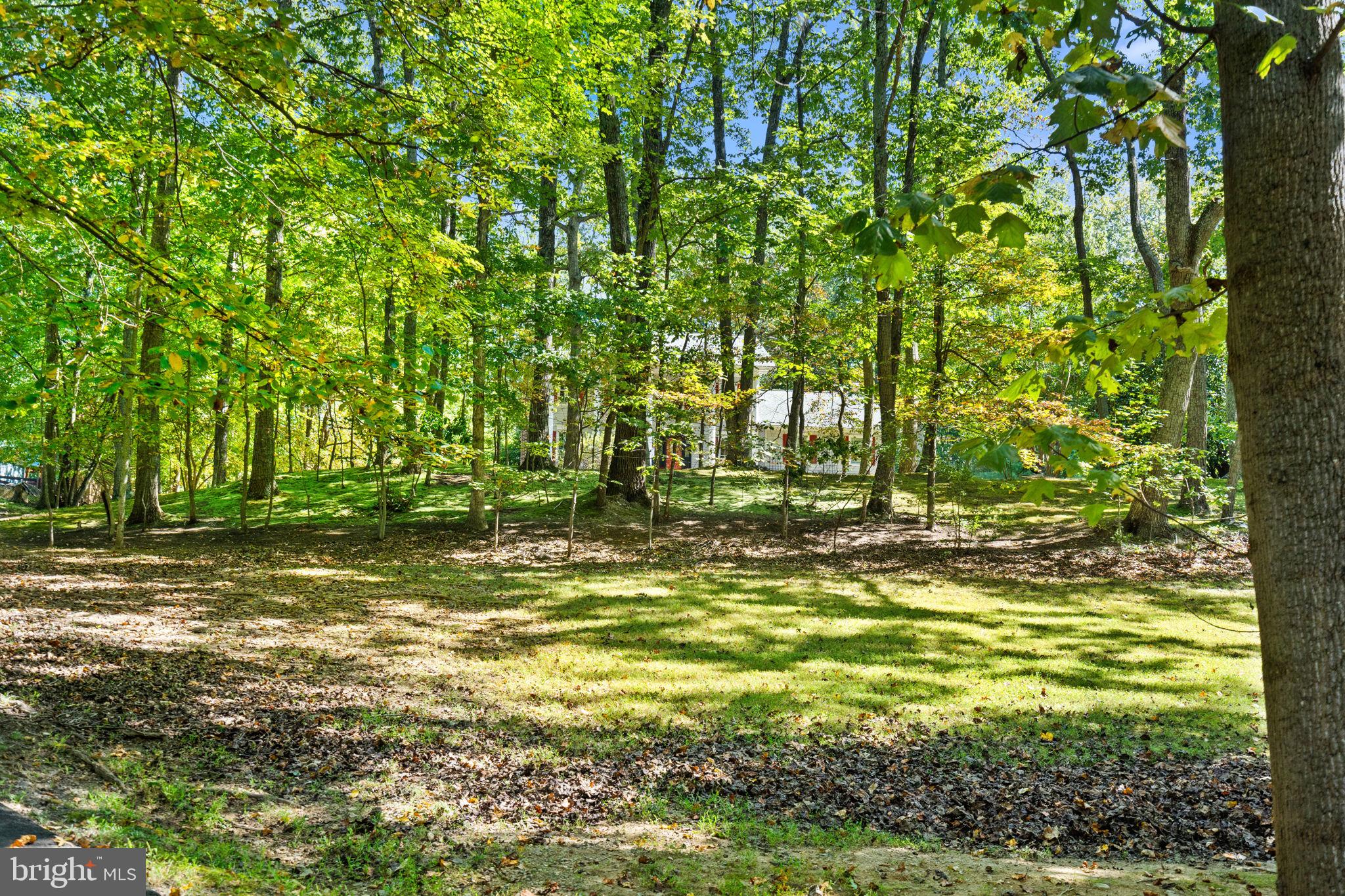 7255 AUBURN MILL ROAD