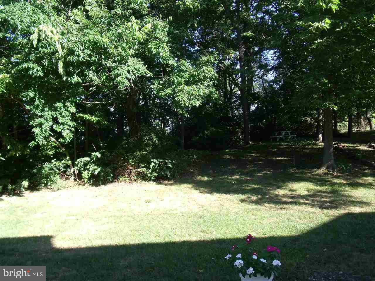 NORTH POINTE - Residential