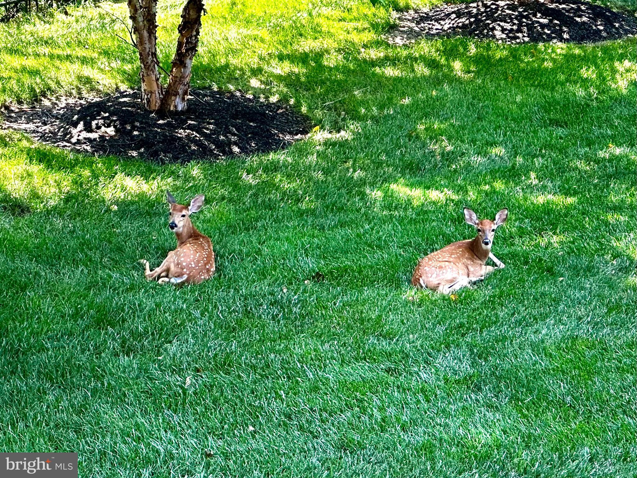 OAK HILL ESTATES - Residential