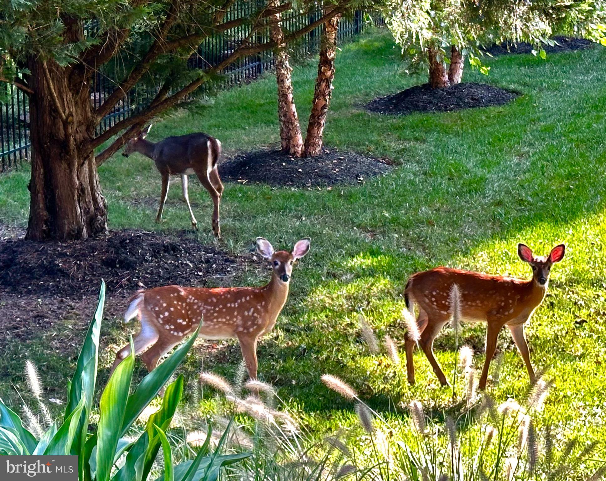 OAK HILL ESTATES - Residential