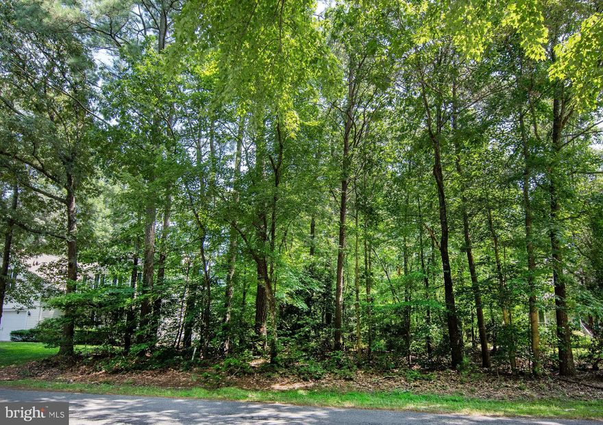 Great Price! Fantastic Location! This beautiful wooded home site is waiting for you. Just shy of a quarter acre and situated in the resort community of Captain's Cove VA. The dream of building your forever home can be a reality! Enjoy all that Captain's Cove has to offer. The many amenities include 2 outdoor pools and 1 indoor pool, tennis courts, the community marina and boat ramp, exercise room, the playground and restaurant at the Marina Club. Minutes to the beach! Just a short ride to Ocean City, MD, Chincoteague Island or Assateague Island.