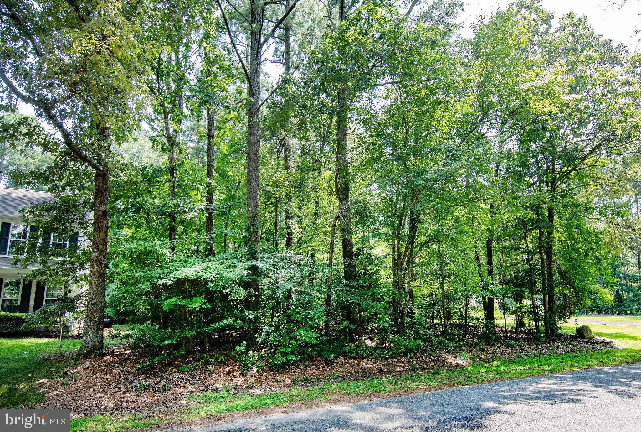 CAPTAIN'S COVE - Land